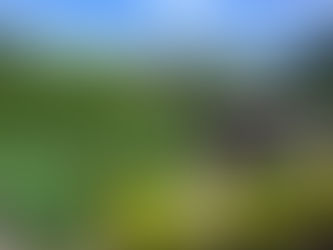 A Taste of Brasso Seco.