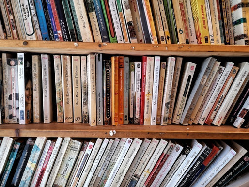 L'Afrique à l'honneur de la Nuit des Bibliothèques à Lille