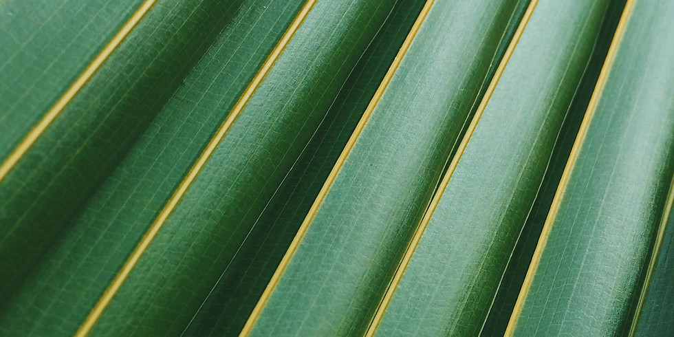 Green is Gold for CA and the USA
