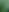 Palm Leaf Close-Up
