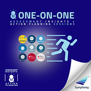 Insights + Action Planning Session for Executives