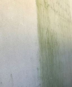 Soft Washing Brandon MB_edited.jpg