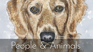 Light brown dog