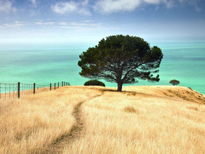 New 6-point Skilled Migrant Category (SMC) Resident Visa in New Zealand