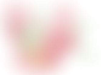 The final presentation 