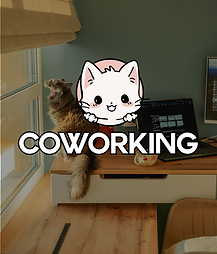 Maybe I should move to CatWorld.. (Publication Instagram (45)).zip - 9.png