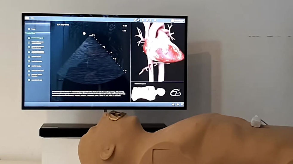 Miniatura: ECOCARDIOGRAFIA A BEIRA DO LEITO