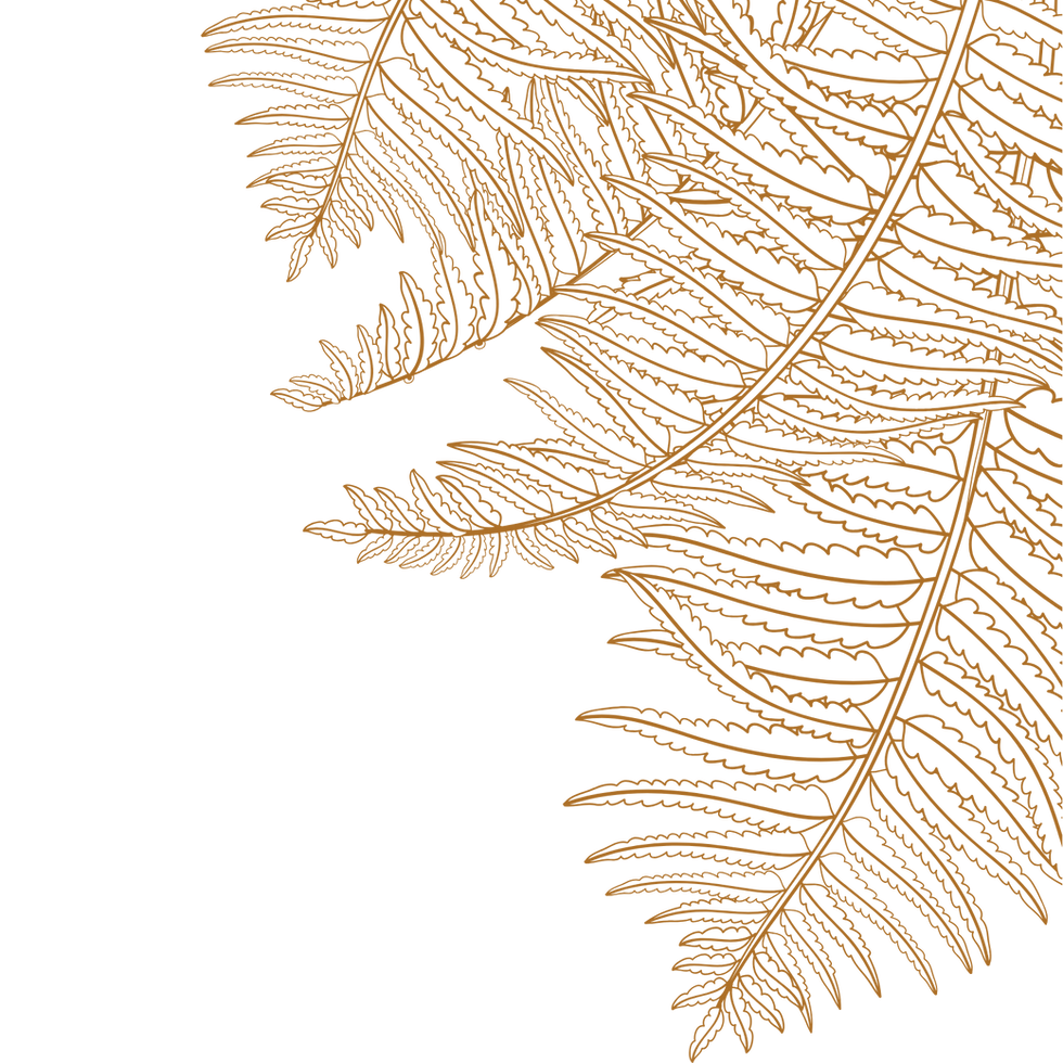 Untitled design (2).png