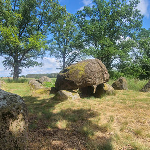 Großsteingrab von Mellen: Mehrere mächtige, moosbewachsene Findlinge bilden die jungsteinzeitliche Grabkammer in einer offenen Wiesenlandschaft mit alten Bäumen und weitem Blick ins Umland.