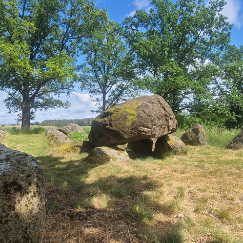 Großsteingrab von Mellen: Mehrere mächtige, moosbewachsene Findlinge bilden die jungsteinzeitliche Grabkammer in einer offenen Wiesenlandschaft mit alten Bäumen und weitem Blick ins Umland.