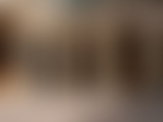 BOLOGNA HIGHLIGHT: TEATRO ANATOMICO