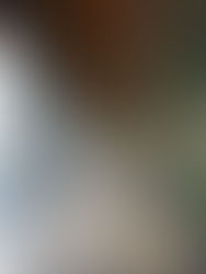 BOLOGNA: WALKING TOUR