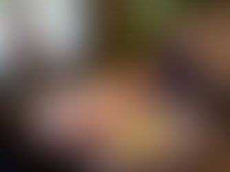 BOLOGNA HIGHLIGHT: PROSCIUTTO and other cured ham