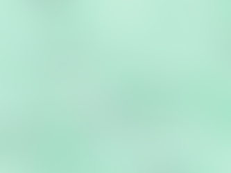 BRATISLAVA: DANUBE RIVER CRUISE