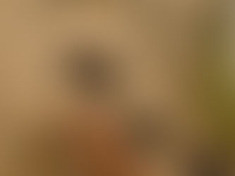 TOKYO NATIONAL MUSEUM