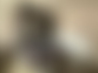 BOLOGNA: ACCOMMODATION