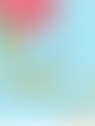 SINGAPORE: A BRIEF HISTORY