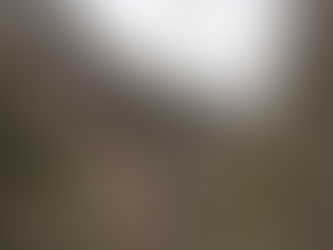 IYA VALLEY: DOUBLE VINE BRIDGES