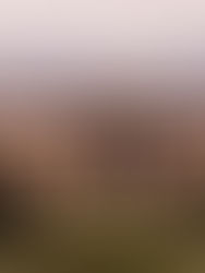 ATHENS ANCIENT AGORA