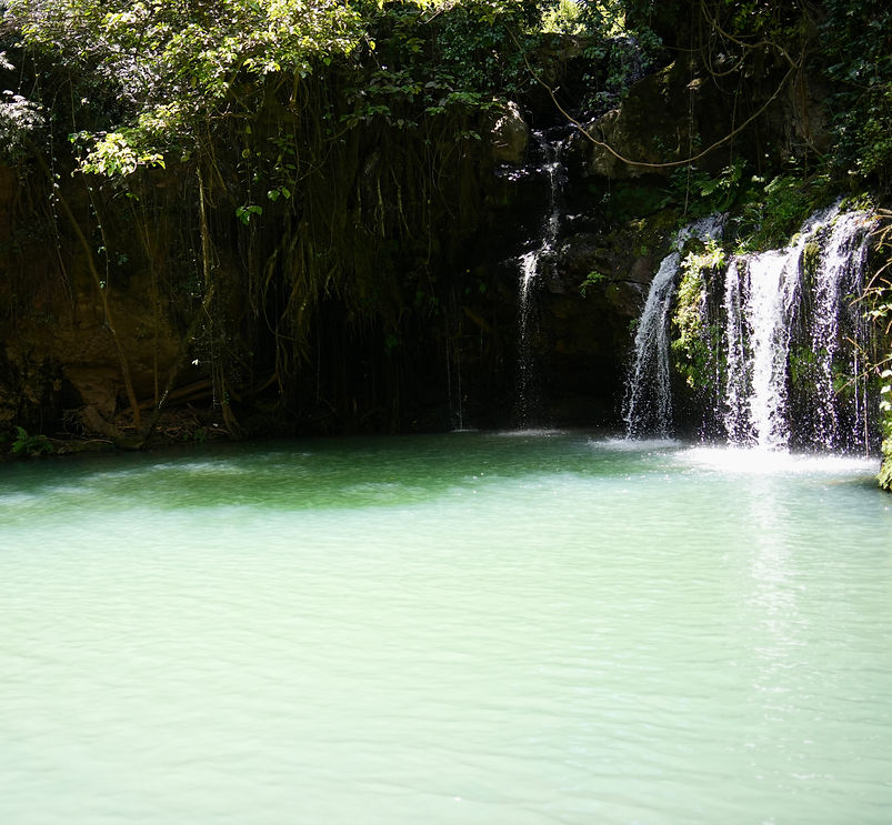 DSC00581.JPG