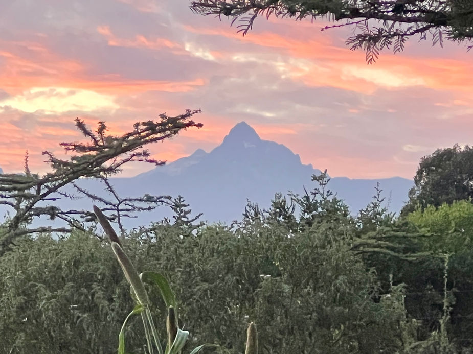 MOUNT KENYA DAY HIKES