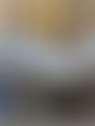 PRAGUE: ARCHITECTURE & TRANSIT