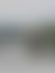 PRAGUE: CITY HIGHLIGHTS