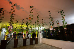 cenário nossas raízes com fotos de colaboradores para decoração da festa corporativa delírio tropical 40 anos