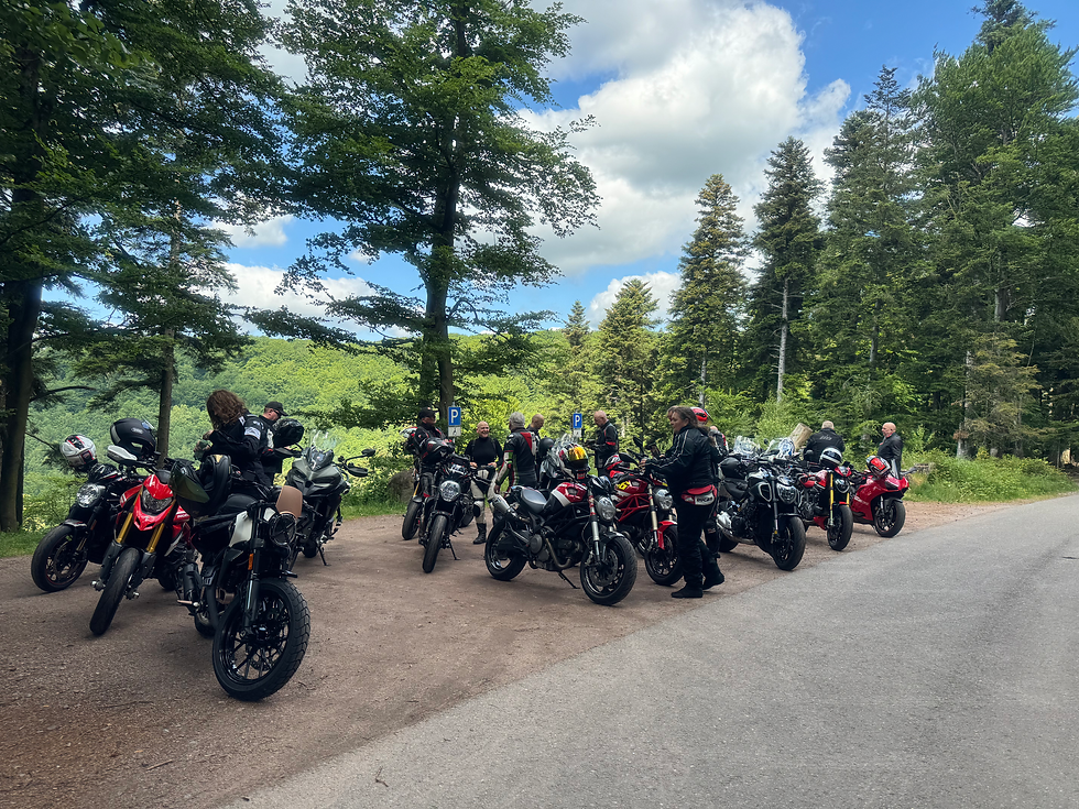 Saisonabschluss - Tour durch den Pfälzer Wald