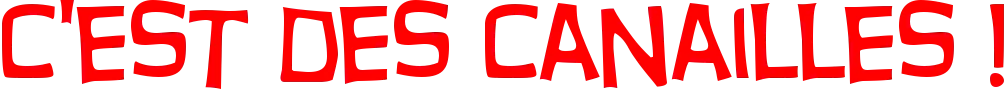 Logo-CDC-Titre-seul-larg-1080-ppp-96-fond-transp.webp