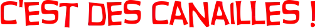 Logo-CDC-titre-seul-larg-316-ppp-96-fond-transp.webp
