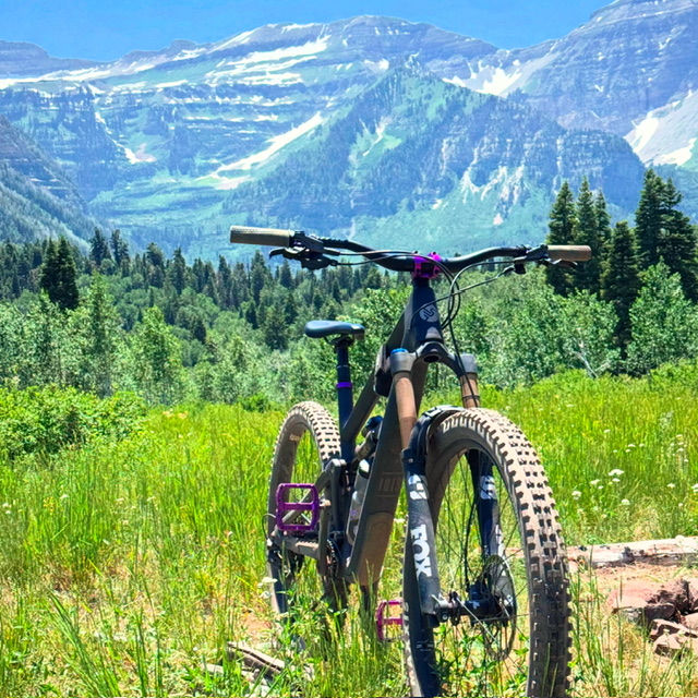 Mountain bike on grassy trail amid lush green forest, with towering mountains in the background under a clear blue sky. Rugged and scenic.