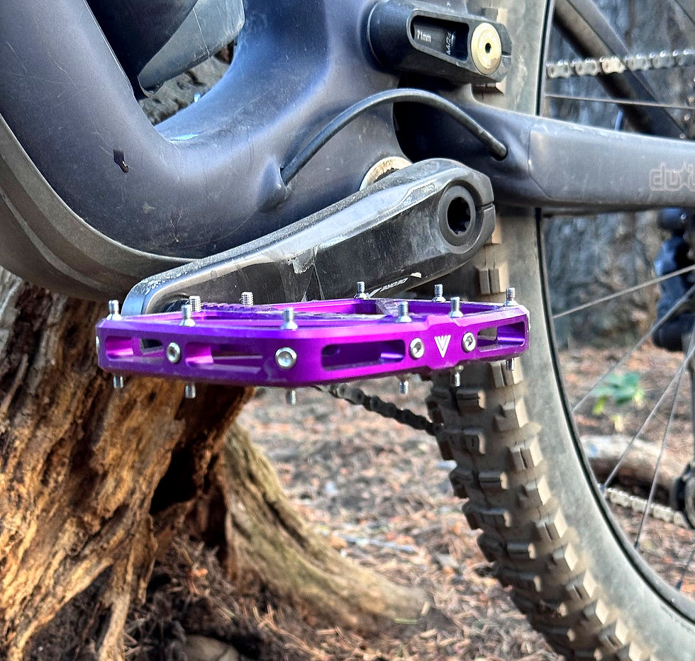 Close-up of a purple bike pedal on a mountain bike, parked against a tree. The pedal features silver spikes and the bike has thick, treaded tires.