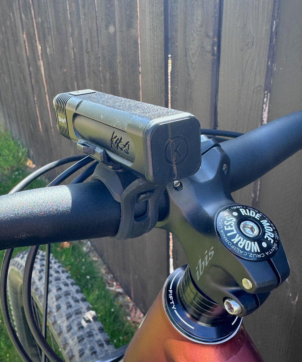 Black bicycle handlebar with a mounted bike light and "ibis" branding, set against a wooden fence and grass. Sunlight casts shadows.