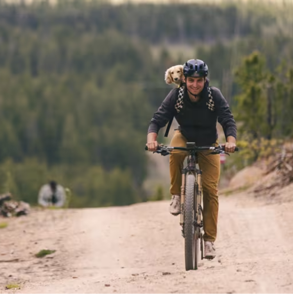 Cyclist with a smiling dog in a backpack rides on a dirt trail through a forested area. The mood is adventurous and joyful.