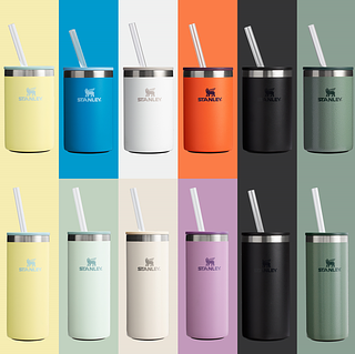 Stanley Everyday Can Cooler Is Also A Tumbler And It's Neat
