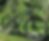 Mountain Bike in Forest