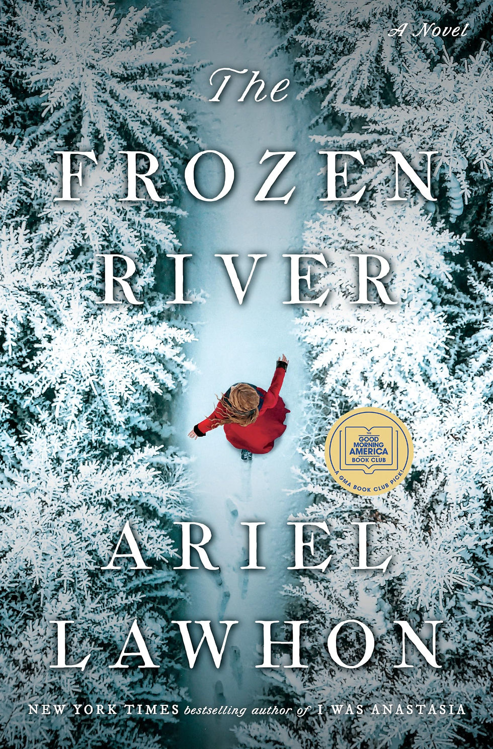 The book cover for Ariel Lawhon's "The Frozen River"