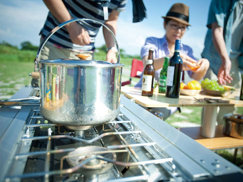 ภาพขนาดย่อ: IGT 660 LEG SET