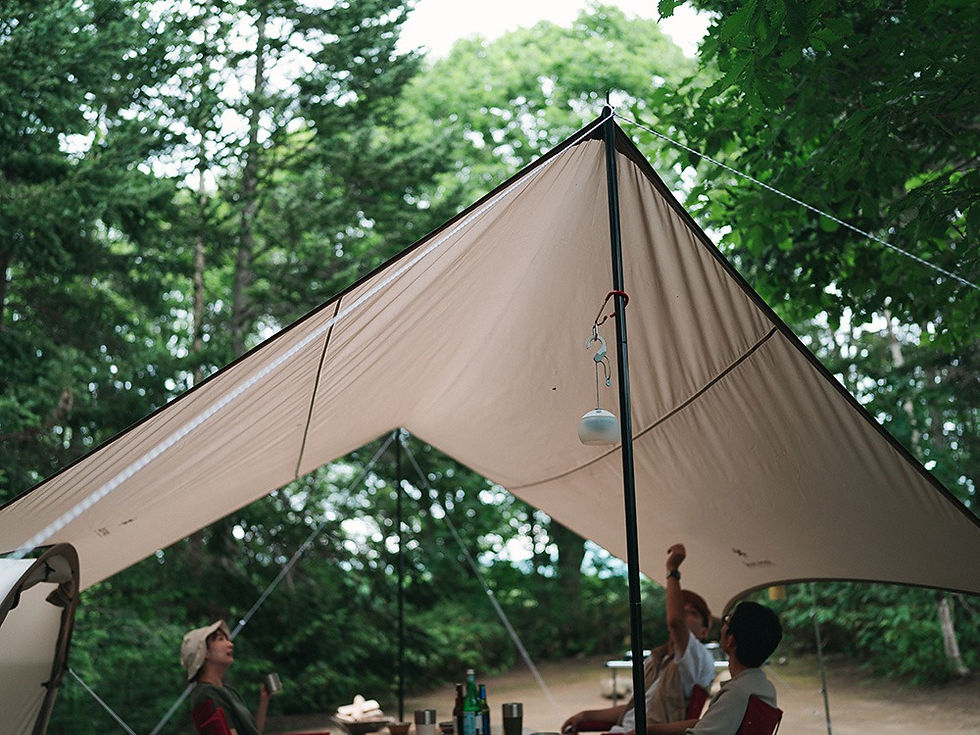Thumbnail: Land Nest Tarp Set
