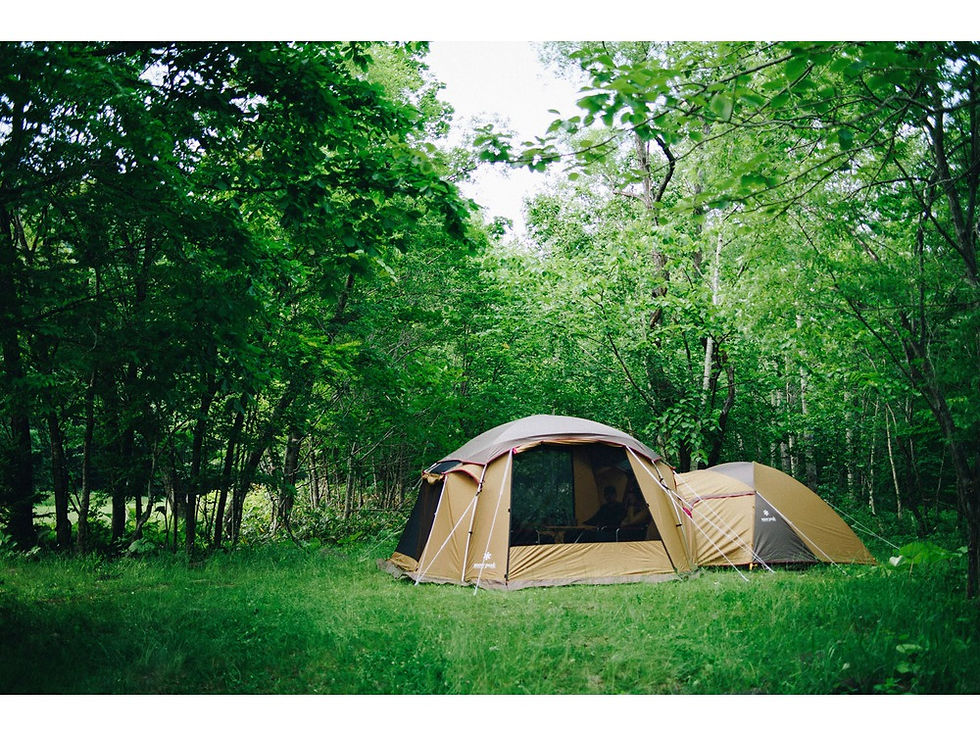 ภาพขนาดย่อ: Mesh Shelter TP-925