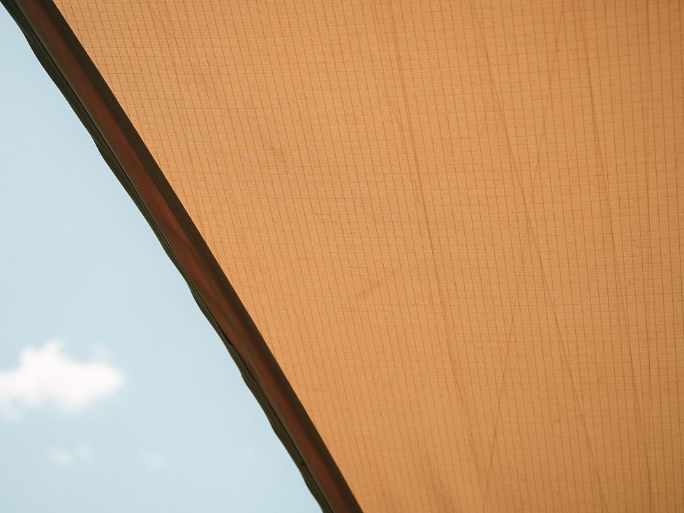 サムネイル： Elfield Hexa Pro.air / Limited Festival Spring 2023