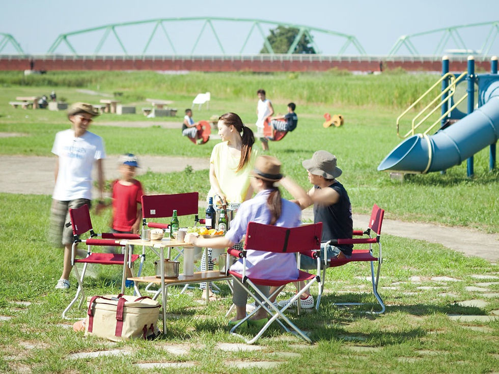 ภาพขนาดย่อ: IGT 660 LEG SET