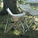 ภาพขนาดย่อ: Take! Bamboo Chair Short (LV-085)