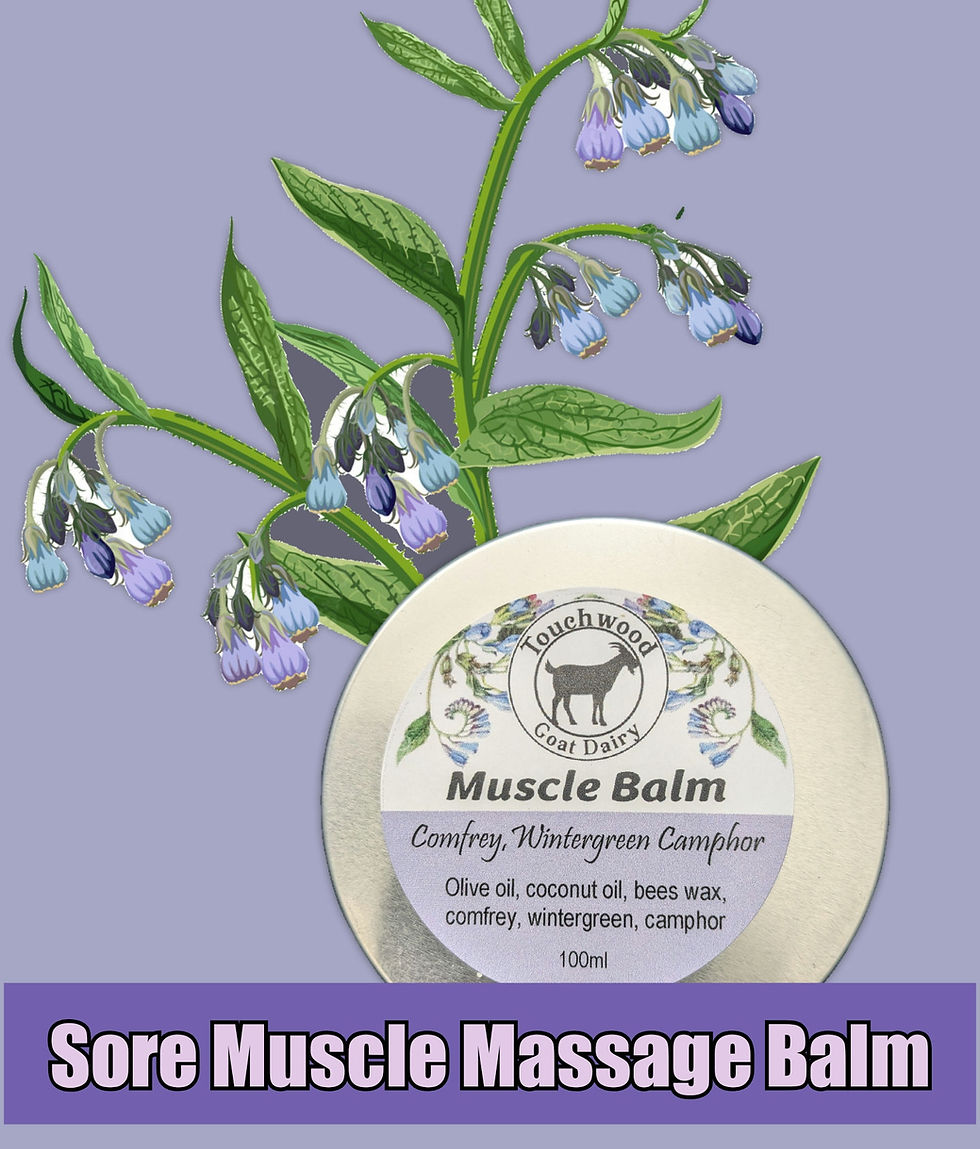 Sore Muscle Balm