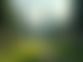 Explore Captivating Travel Stories and Historical Insights