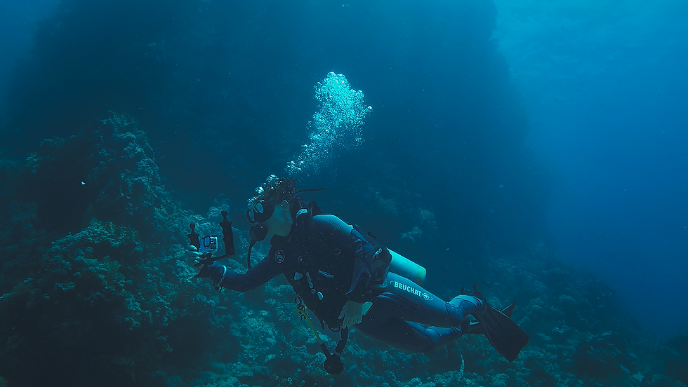 dorota Diving.png
