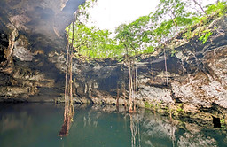PXL_20240619_160432209_edited.jpg