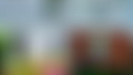 professional exterior cleaning service