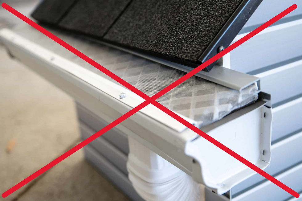 Is leaffilter good does it actually work, what gutter guards are the best and actually work